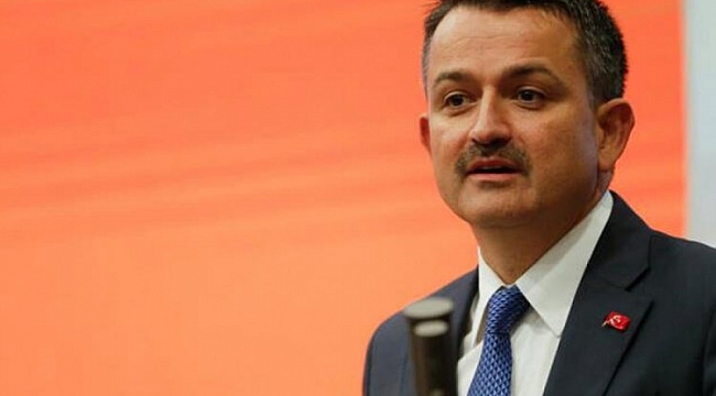 Bakan Pakdemirli'den Gelibolu'daki orman yangını açıklaması