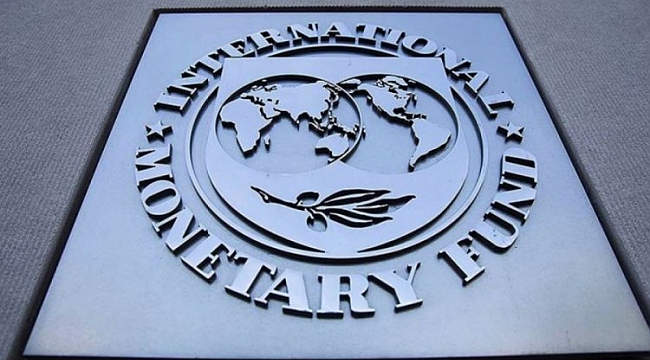 IMF'den pandemi açıklaması