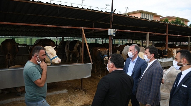 İnegöl'de hayvan pazarında hareketlilik başladı