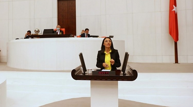 Yenidoğan'daki doğal gaz sorunu TBMM gündeminde