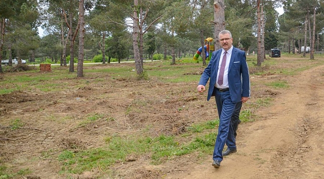 Yeniköy'de piknikçilerin yüzü gülüyor