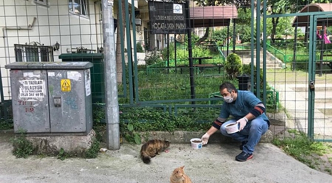 Yıldırım'da sokak hayvanları sahipsiz değil
