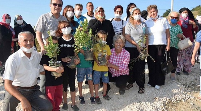 CHP Bursa Kadın Kolları, fidan dikti