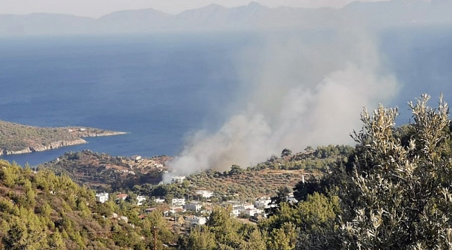 Muğla'da orman yangını