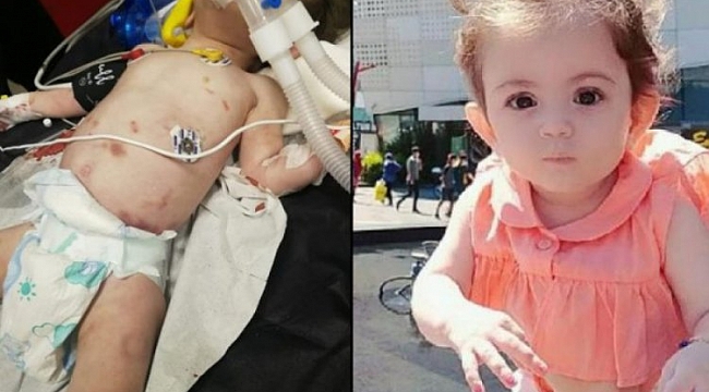 Hayat bebeğin ölümünde korkunç iddia