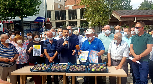 İYİ Parti Bursa'dan incir üreticilerine desten