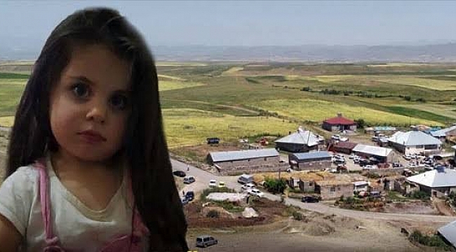 Leyla Aydemir davasında karar bekleniyor