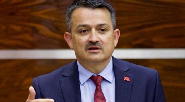 Bakan Pakdemirli'den Hatay'daki orman yangınına ilişkin açıklama