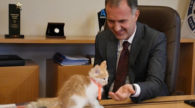 Başkan Taban kedi sahiplendi, isim arıyor!