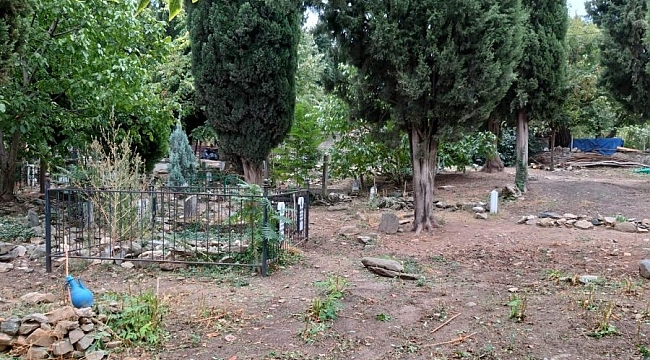 Bursa'da mezarlıklarda bakım sürüyor