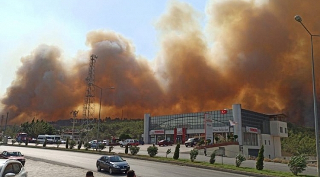 Hatay'daki orman yangınları kontrol altında