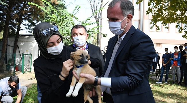 İnegöl Belediyesi okullara köpek sahiplendiriyor