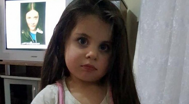 Leyla Aydemir davasında karar günü