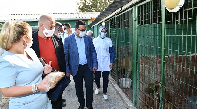Mustafakemalpaşa'da hayvan barınağına renk geldi