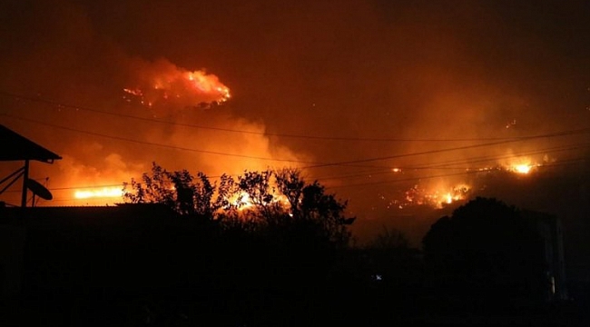 Pakdemirli'den Hatay'daki yangınla ilgili açıklama