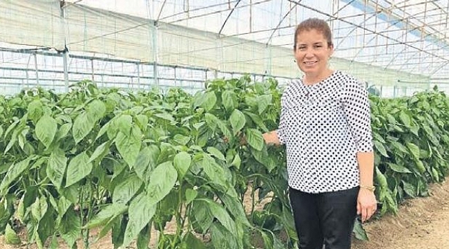 Tarımda kadın dayanışması