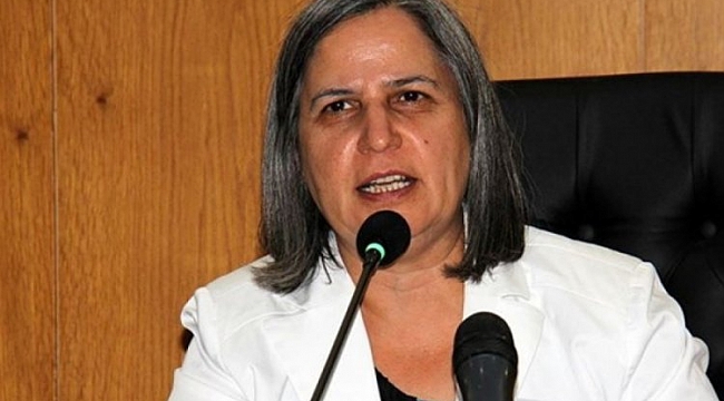 Yargıtay'dan Gültan Kışanak kararı