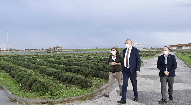 Karacabey aromatik bitkiler üzerine çalışıyor