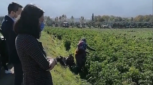 Nurhayat Altaca Kayışoğlu'ndan çiftçi kadınlara ziyaret