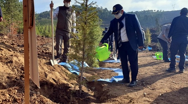 Orhaneli'de 5 bin fidan toprakla buluştu