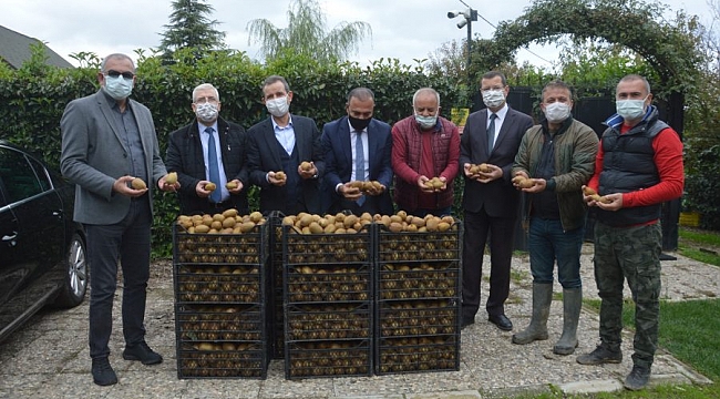 Orhangazi protokolü kivi hasadına katıldı