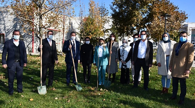 TSE binasının fidanları, Kestel Belediyesi'nden