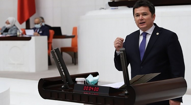 Aydın: Uludağ'ın eteklerindeki ağaçlar katlediliyor