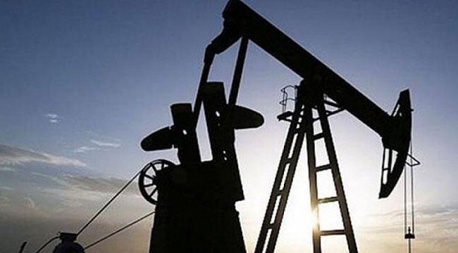 Brent petrolün varili 48,15 dolar