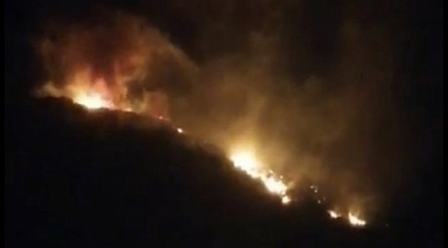Hatay'da 4 farklı noktada yangın!