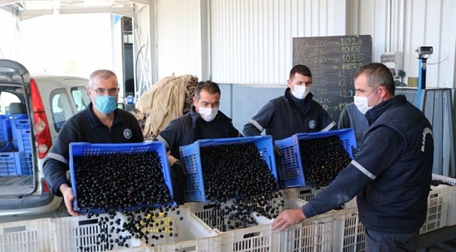 Marmarabirlik'ten üreticiye ödeme