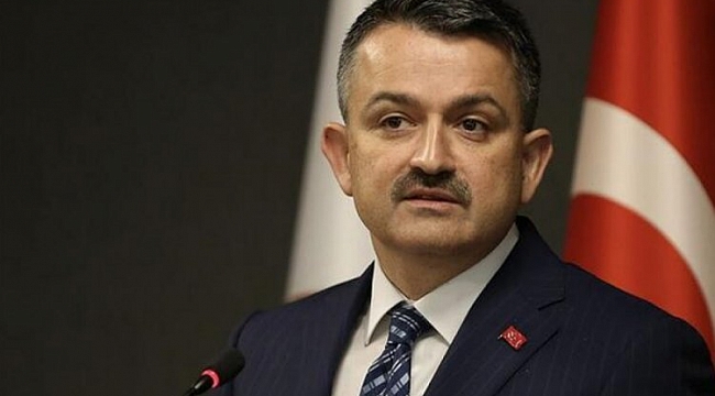Pakdemirli: Balon balığı avcılığını destekleme kapsamına aldık