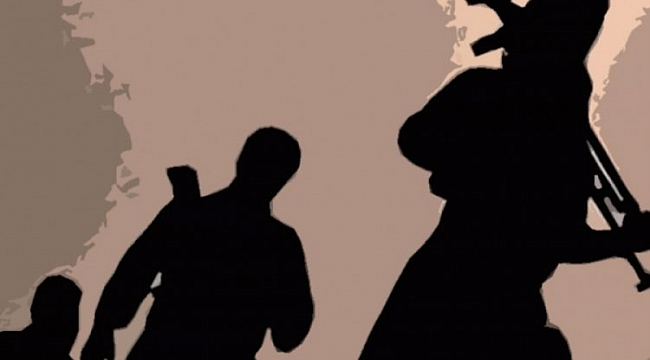 PKK'lı 2 terörist teslim oldu