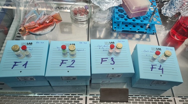 UÜ'den bir yerli aşı projesi daha