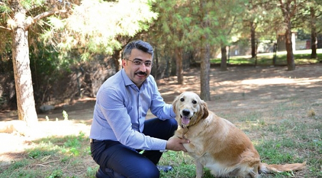 Yıldırım'da can dostlara destek