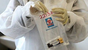 3 ülkede daha mutasyonlu virüse rastlandı 