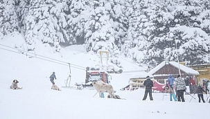 8 turizm bölgesi iptal edildi! 