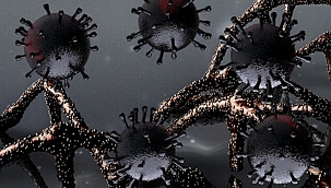 Aynı anda iki farklı Kovid-19 mutasyonu görüldü