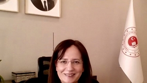 Bakan Yardımcısı Varank, BTSO İnşaat ve Gayrimenkul Sektörü İstişare Toplantısı'na katıldı