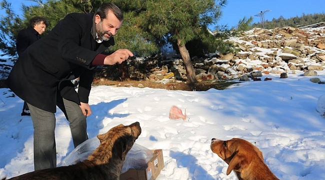 Başkan Işık: Dünya tüm canlılar iyi oldukça daha güzel