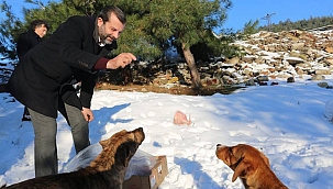Başkan Işık: Dünya tüm canlılar iyi oldukça daha güzel