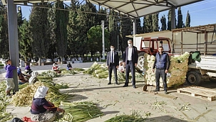 Başkan Özkan, çalışmaları yakından takip ediyor