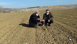 Bursa'da kuraklık çiftçiyi kara kara düşündürüyor