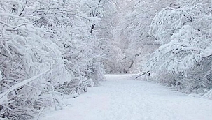 Bursa dahil 36 il için kar uyarısı 