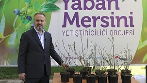 Büyükşehir'in ihracat hedefi 1 milyon dolar