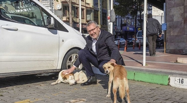 Can dostlar Karacabey'de güvence altında