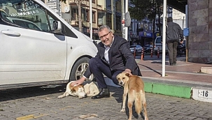 Can dostlar Karacabey'de güvence altında