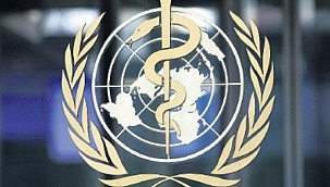 DSÖ seyahatler için aşı pasaportu önerisi sundu