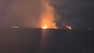 Eber Gölü'nde yine alevler yükseldi 