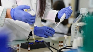 EÜ'nün aşısı gönüllüler üzerinde denenecek