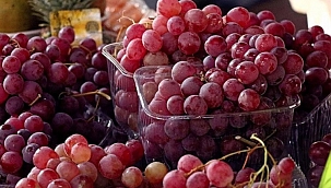 Gıda ihracatı ilk kez 20 milyar doları aşacak